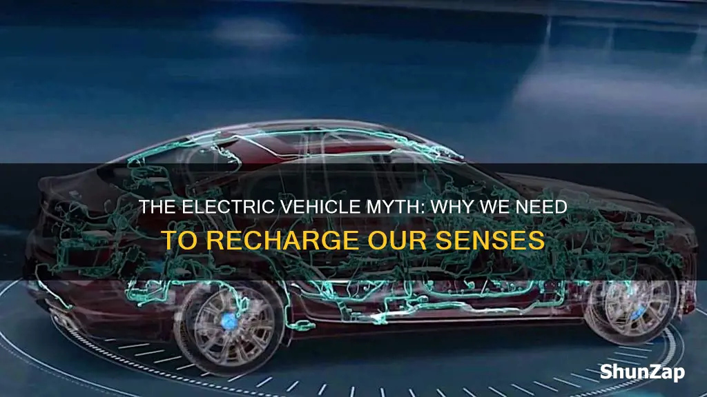 why electric vehicles are not the future