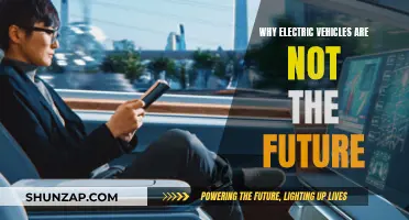 Electric Vehicles: Overhyped and Overstated?