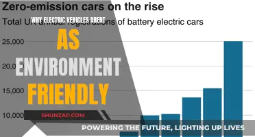 The Green Conundrum: Unveiling the Environmental Trade-offs of Electric Vehicles