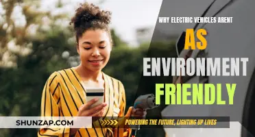Electric Vehicles: Greenwashing and Environmental Impact