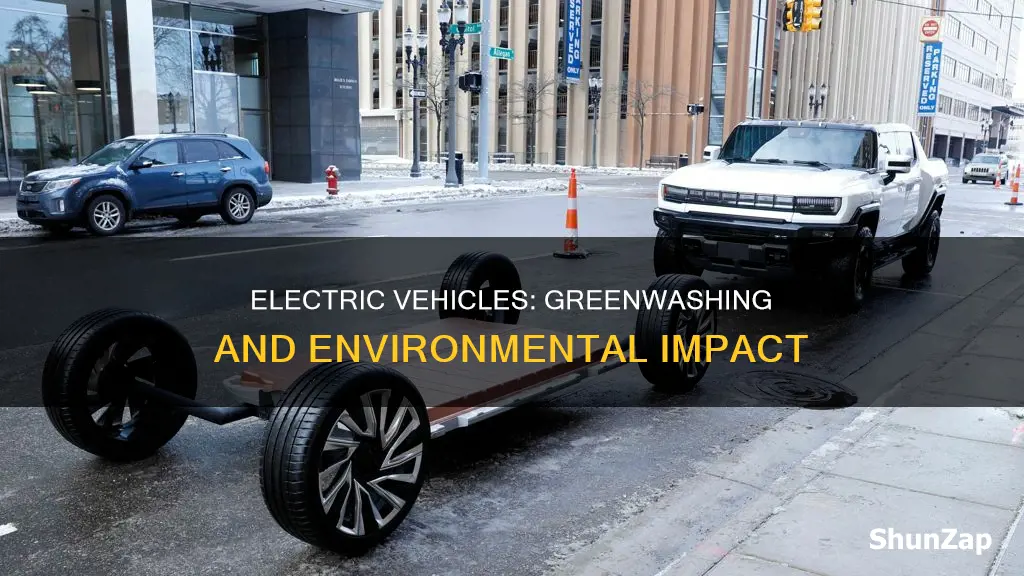 why electric vehicles arent as environment friendly