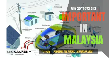 Electric Vehicles: Malaysia's Green Revolution