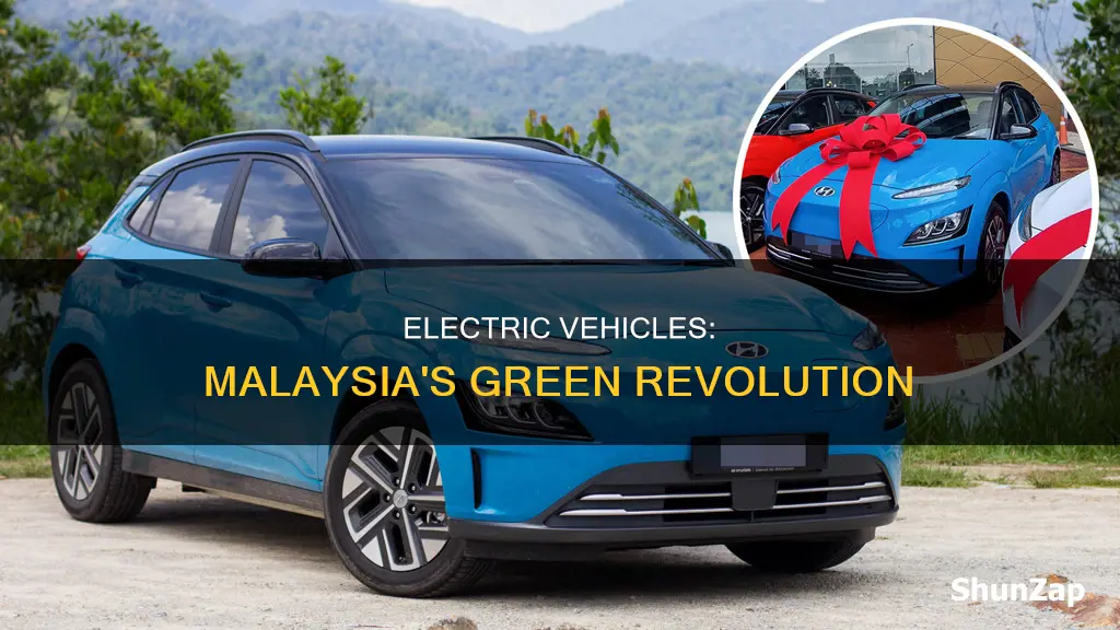 why electric vehicles important in malaysia