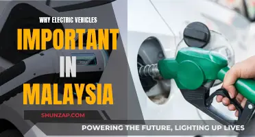 Electric Vehicles: Malaysia's Green Future?
