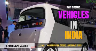 Electric Vehicles: India's Future on the Road