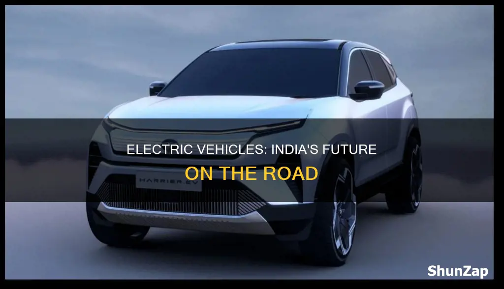 why electric vehicles in india