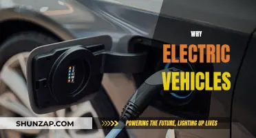 Electric Vehicles: The Future of Sustainable Transportation