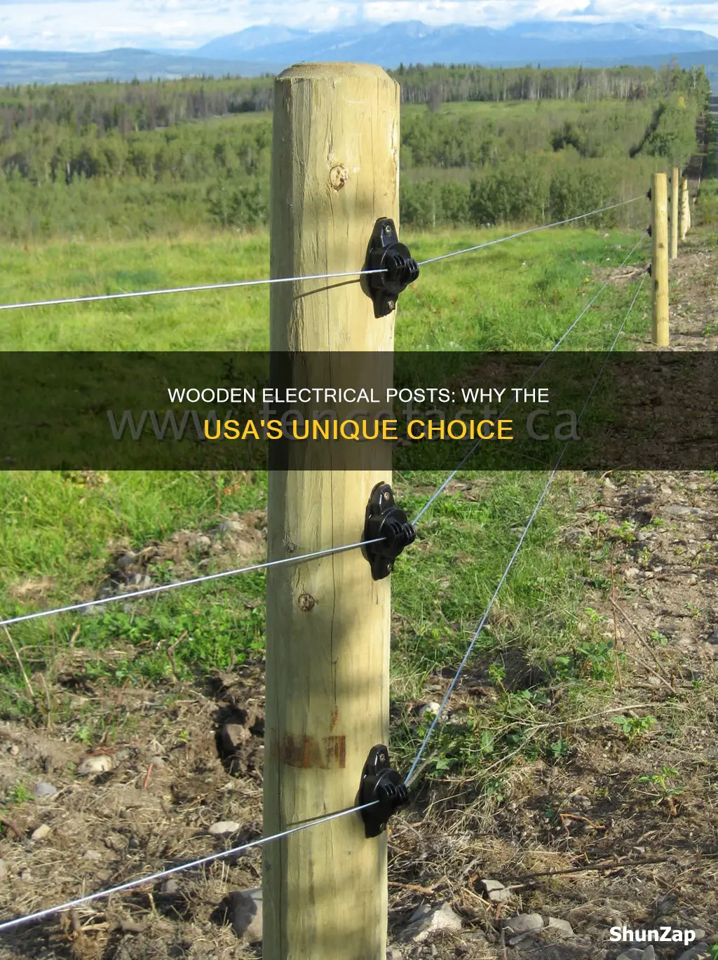 why electrical posts in usa from wood