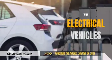 Electrical Vehicles: The Future of Sustainable Transportation