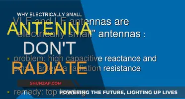 Electrically Small Antennas: Why They Don't Radiate Well