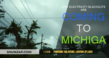 Michigan's Blackout Risk: Aging Infrastructure, Extreme Weather