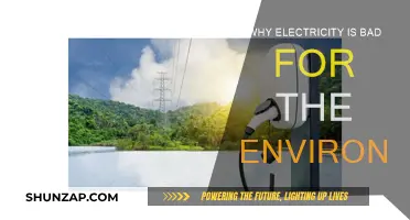 Electricity's Impact: Harming Our Environment and Future