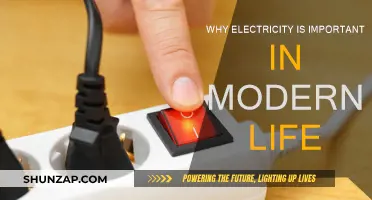 Electricity: Powering Our Modern Life and Beyond