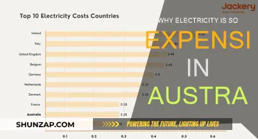 Australia's Electricity Crisis: Why So Expensive?