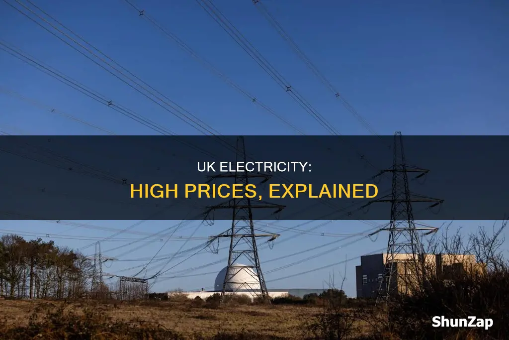 why electricity is so expensive in uk