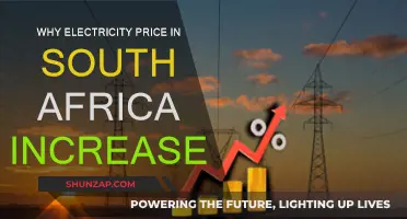 South Africa's Electricity Crisis: Why the Price Surge?