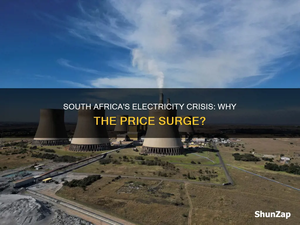 why electricity price in south africa increase