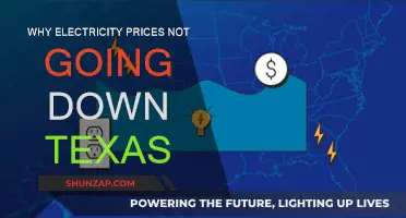 Texas Electricity Prices: Why Aren't They Dropping?