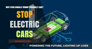 Electric Cars' Momentum: Why Even Trump Can't Halt Their Rise