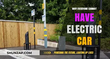 Electric Cars for All? Exploring the Barriers to Universal Adoption