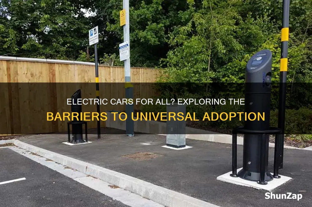 why everyone cannot have electric car