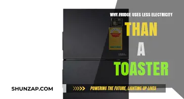 Fridge vs. Toaster: Uncovering the Energy Efficiency Mystery