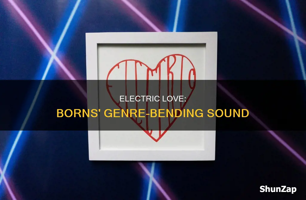 why genre is electric love by borns