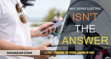 Electric Vehicles: Not a Silver Bullet