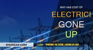 The Rising Cost of Electricity: Why the Surge?
