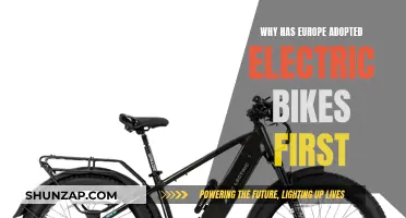 Electric Bike Revolution: Europe's Early Adoption Explained