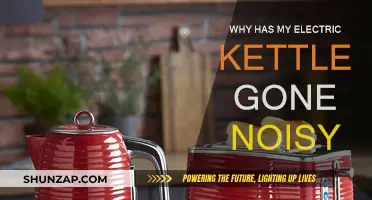 Electric Kettle Noisier? Here's Why