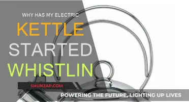 Electric Kettle Whistling: What's the Reason?