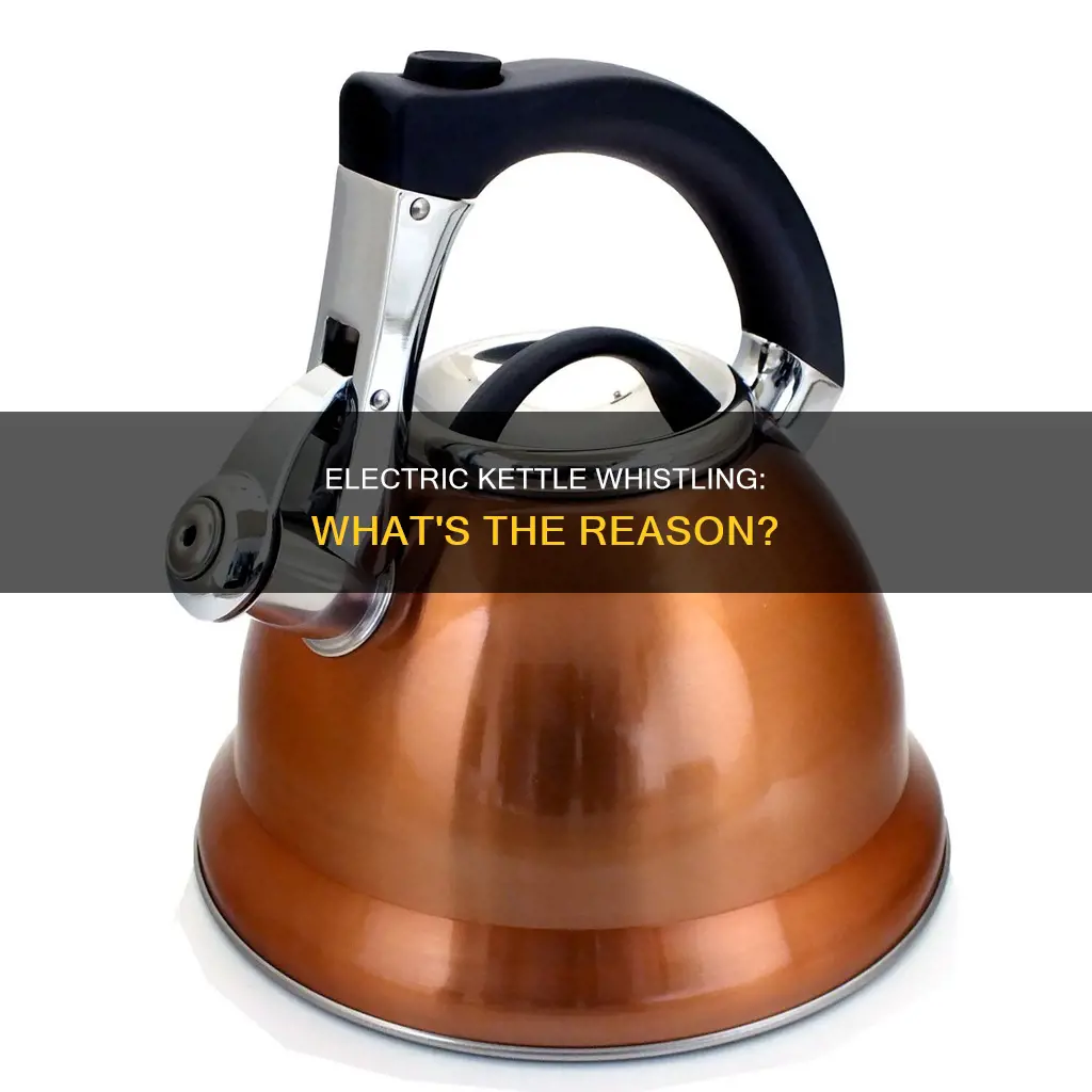 why has my electric kettle started whistling