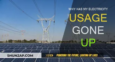 Electricity Usage: Why the Sudden Spike in Costs?