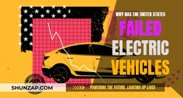 The U.S. Electric Vehicle Slowdown: A Tale of Innovation and Infrastructure