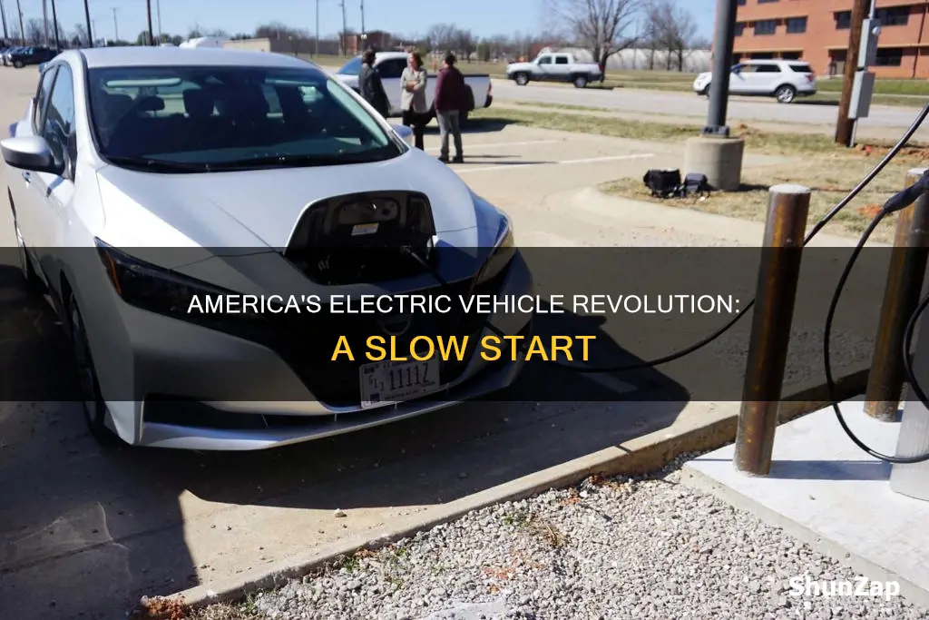 why has the united states failed electric vehicles
