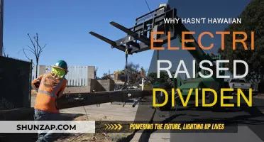 Hawaiian Electric's Dividend Dilemma: Why No Increase?