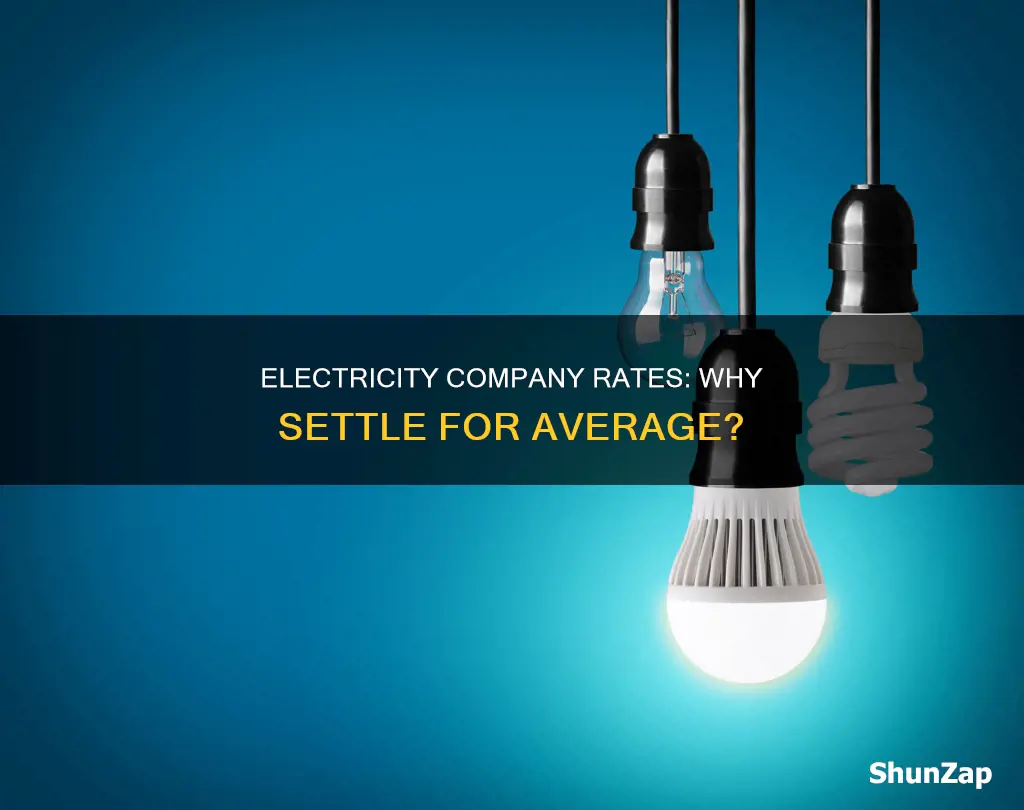 why have an average rate electricity company