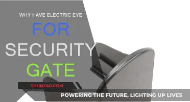Electric Eye Security: A Smart, Safe Solution
