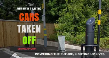 Why Electric Cars Haven't Gained Traction: Barriers to Mass Adoption