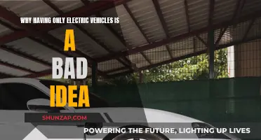 Electric Vehicles: The Problem with an All-EV Future