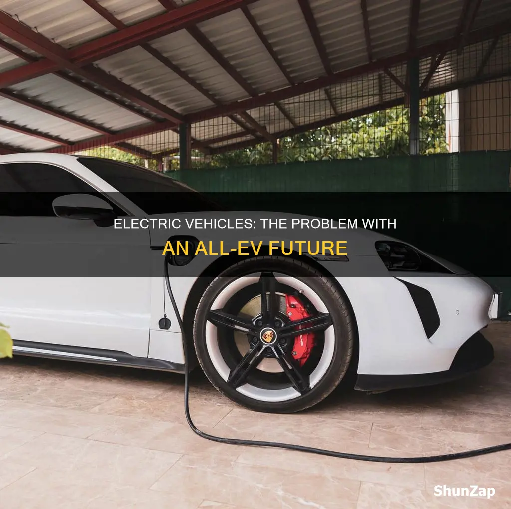 why having only electric vehicles is a bad idea