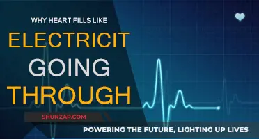Electric Heart: The Feeling of Electricity Through Your Veins