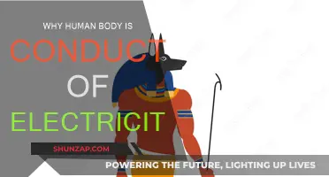 Human Body: A Natural Electrical Conductor?