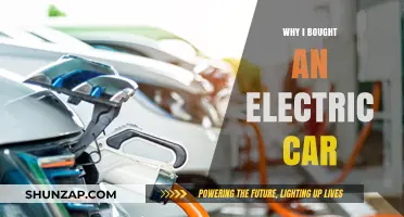 Switching to Green: My Decision to Buy an Electric Car