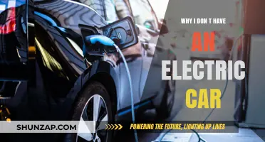 Why I Haven't Switched to an Electric Car Yet: My Reasons