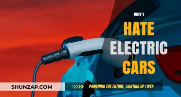 Why Electric Cars Fall Short: My Honest Frustrations Explained