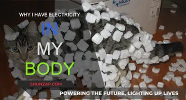 Electric Body: A Personal Energy Mystery