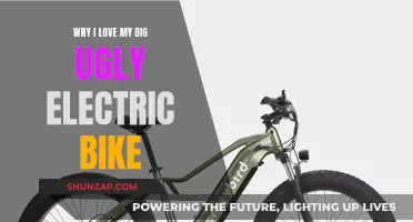 My Big, Ugly Electric Bike: A Love Story