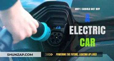 Why Electric Cars Might Not Be the Right Choice for You